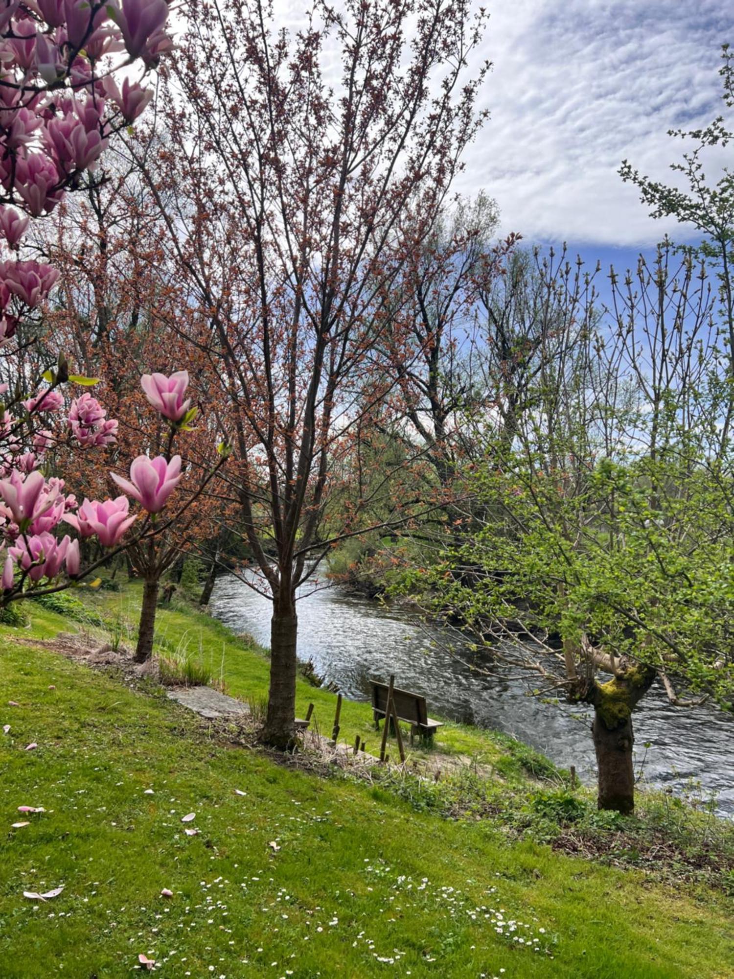 Am Flussgarten Eriskirch Exterior foto